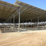 Kibbutz Yizre'el Construction of a cowshed + silage pit